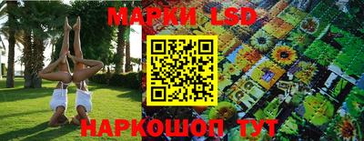 прущие грибы Железногорск