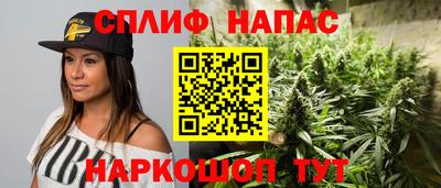 прущие грибы Железногорск