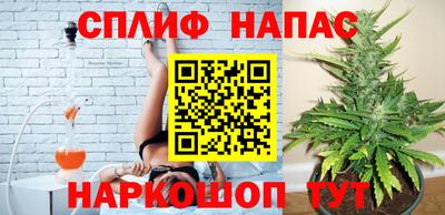 прущие грибы Железногорск