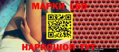 прущие грибы Железногорск