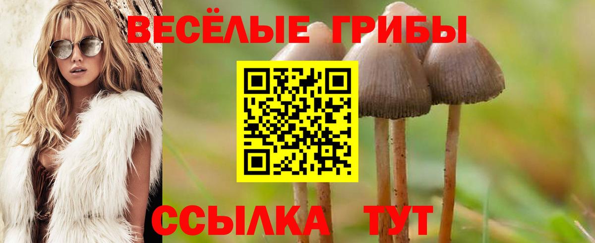 Галлюциногенные грибы Psilocybine cubensis  Вход с VPN  Псилоцибиновые грибы мицелий  как найти наркотики  Туймазы 
