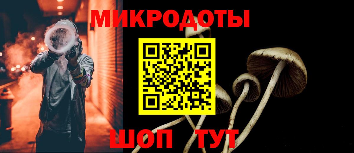 Галлюциногенные грибы Cubensis Туймазы